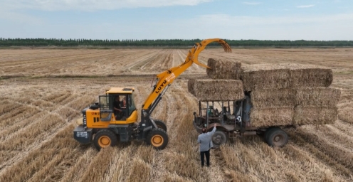 我縣秸稈實現(xiàn)“多途徑”綠色新生